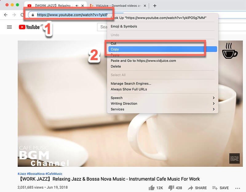 Copy the video url